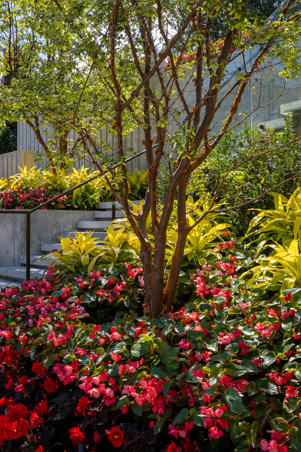 High end landscape construction by Fossil Landscape Construction in Vancouver BC featuring refined outdoor spaces, detailed craftsmanship and timeless design.