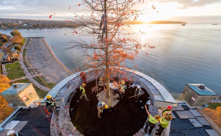 High end landscape construction by Fossil Landscape Construction in Vancouver BC featuring refined outdoor spaces, detailed craftsmanship and timeless design.