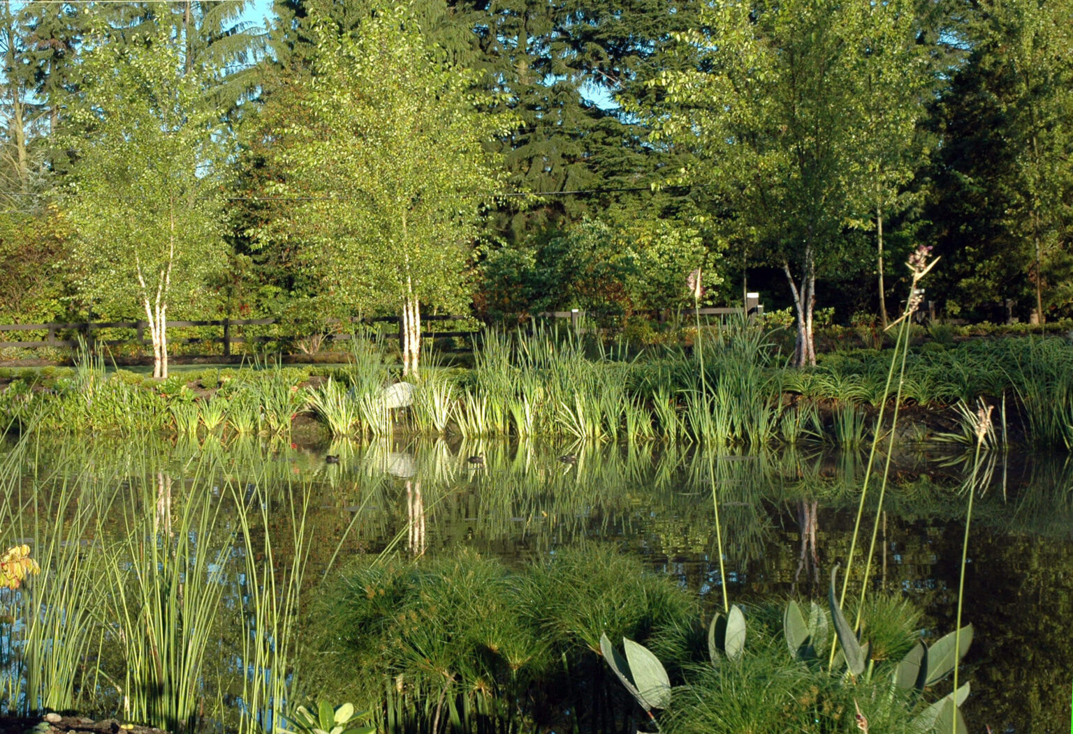 High end landscape construction by Fossil Landscape Construction in Vancouver BC featuring refined outdoor spaces, detailed craftsmanship and timeless design.