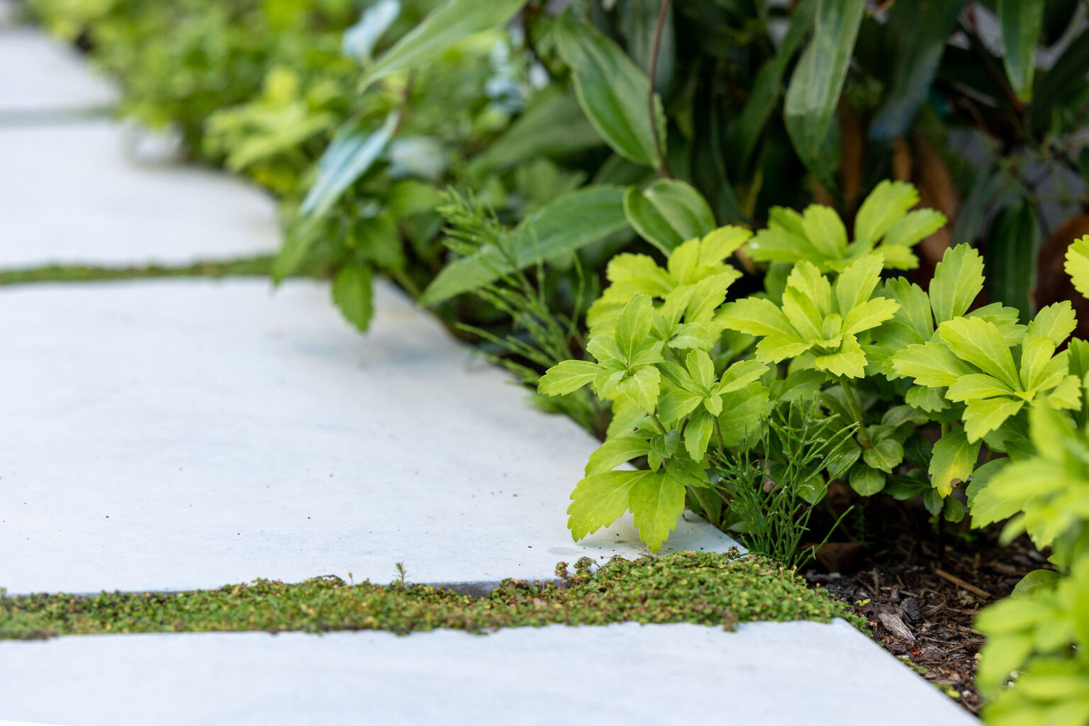 High end landscape construction by Fossil Landscape Construction in Vancouver BC featuring refined outdoor spaces, detailed craftsmanship and timeless design.