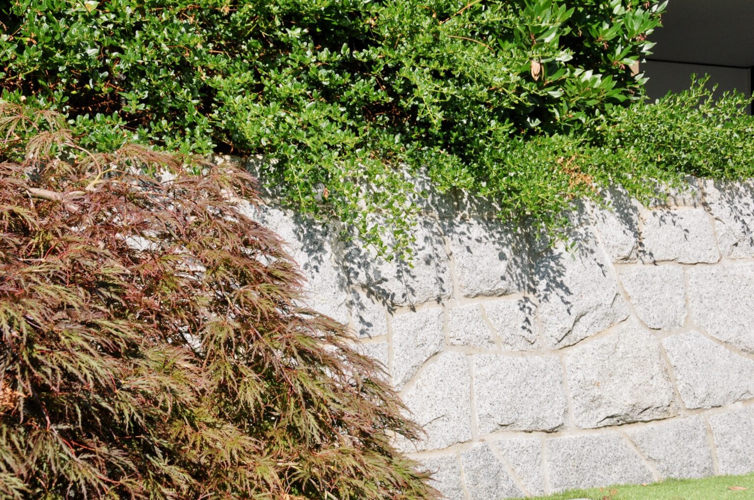 High end landscape construction by Fossil Landscape Construction in Vancouver BC featuring refined outdoor spaces, detailed craftsmanship and timeless design.
