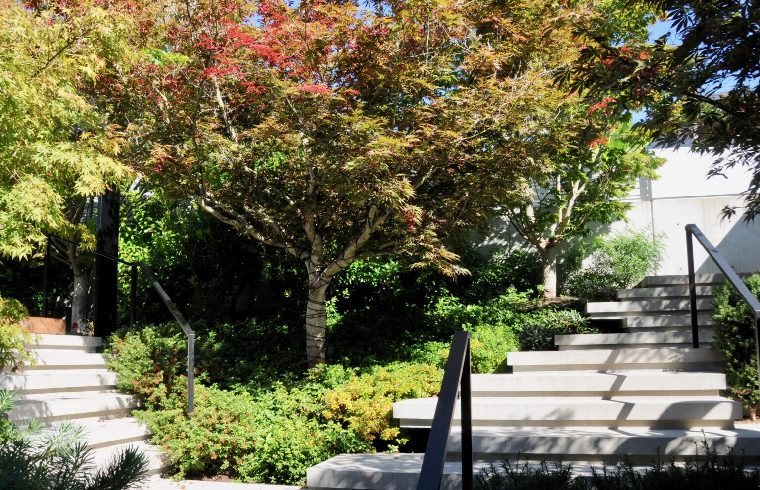 High end landscape construction by Fossil Landscape Construction in Vancouver BC featuring refined outdoor spaces, detailed craftsmanship and timeless design.